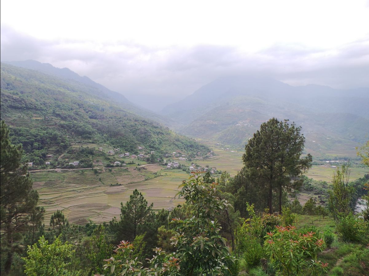 Gantey Hike13
